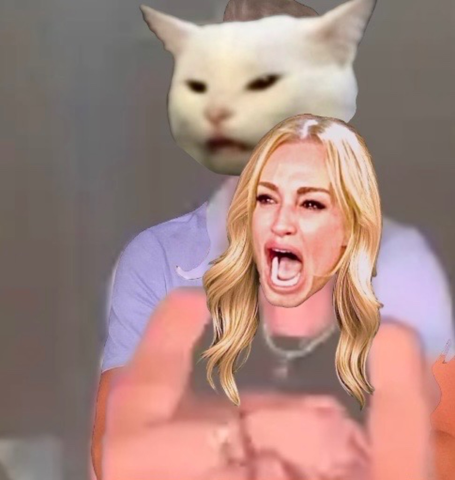 Classic Woman Yelling at Cat meme from the WYAC collection