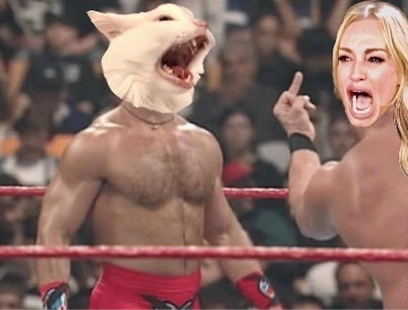 Classic Woman Yelling at Cat meme from the WYAC collection