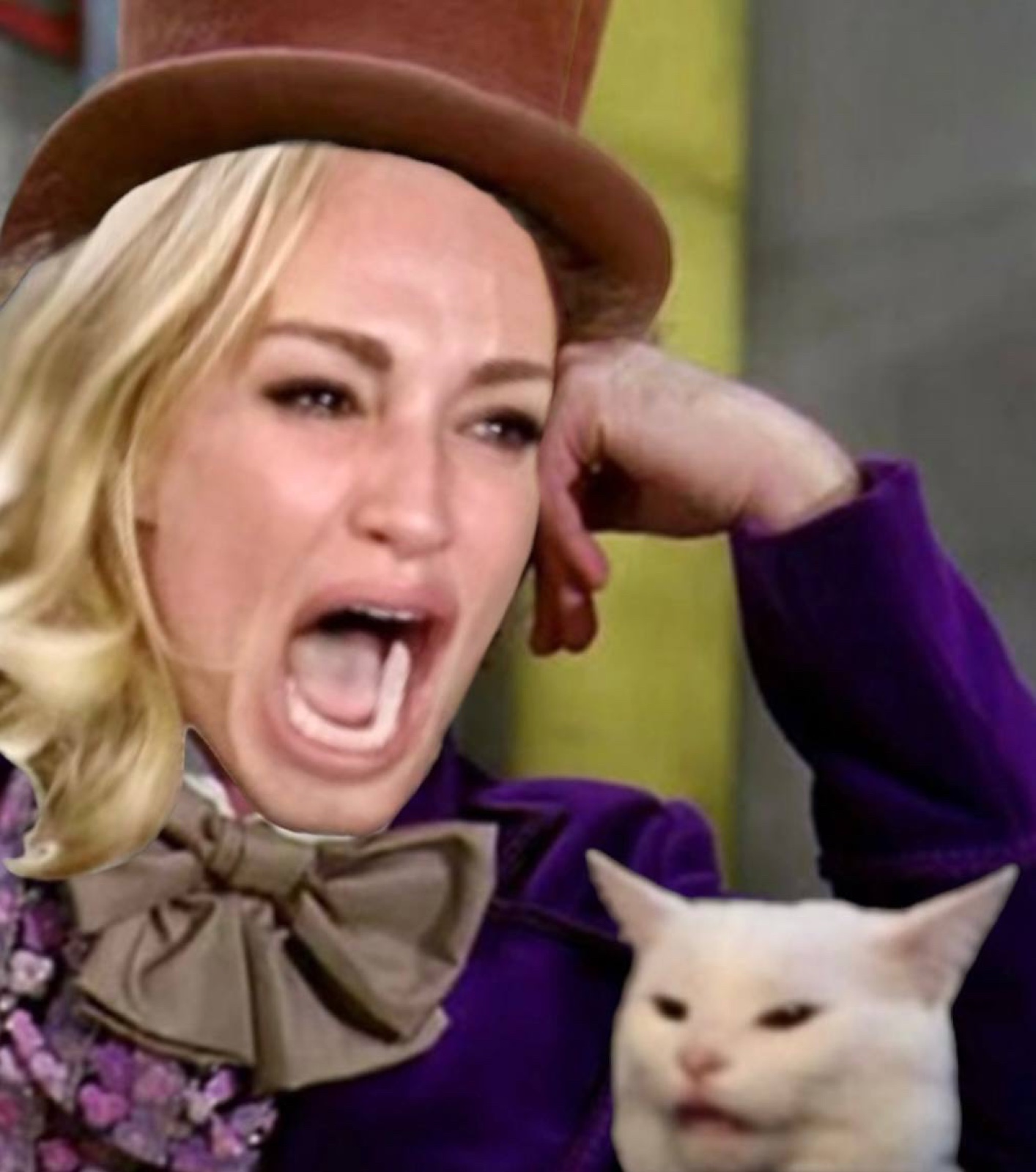 Classic Woman Yelling at Cat meme from the WYAC collection