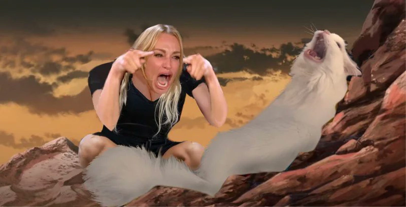 Classic Woman Yelling at Cat meme from the WYAC collection