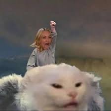 Classic Woman Yelling at Cat meme from the WYAC collection
