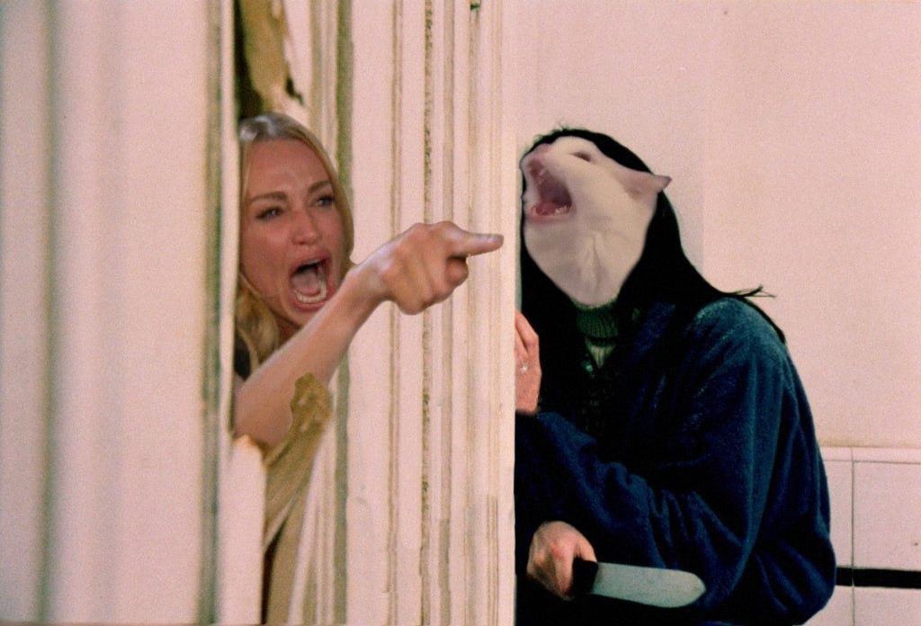 Classic Woman Yelling at Cat meme from the WYAC collection
