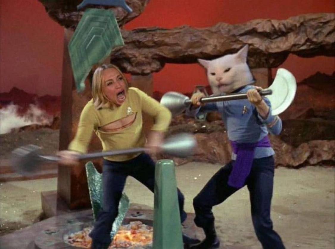 Classic Woman Yelling at Cat meme from the WYAC collection