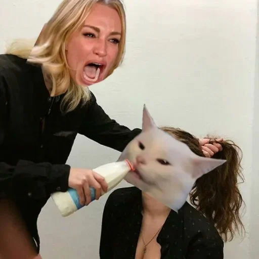 Classic Woman Yelling at Cat meme from the WYAC collection