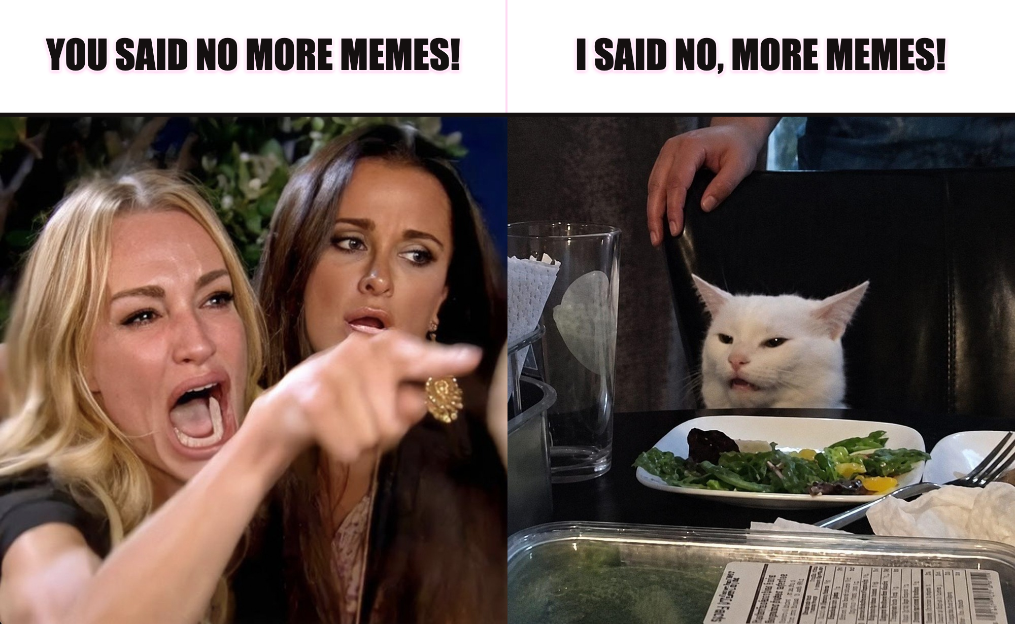 Woman Yelling at Cat no more memes remix