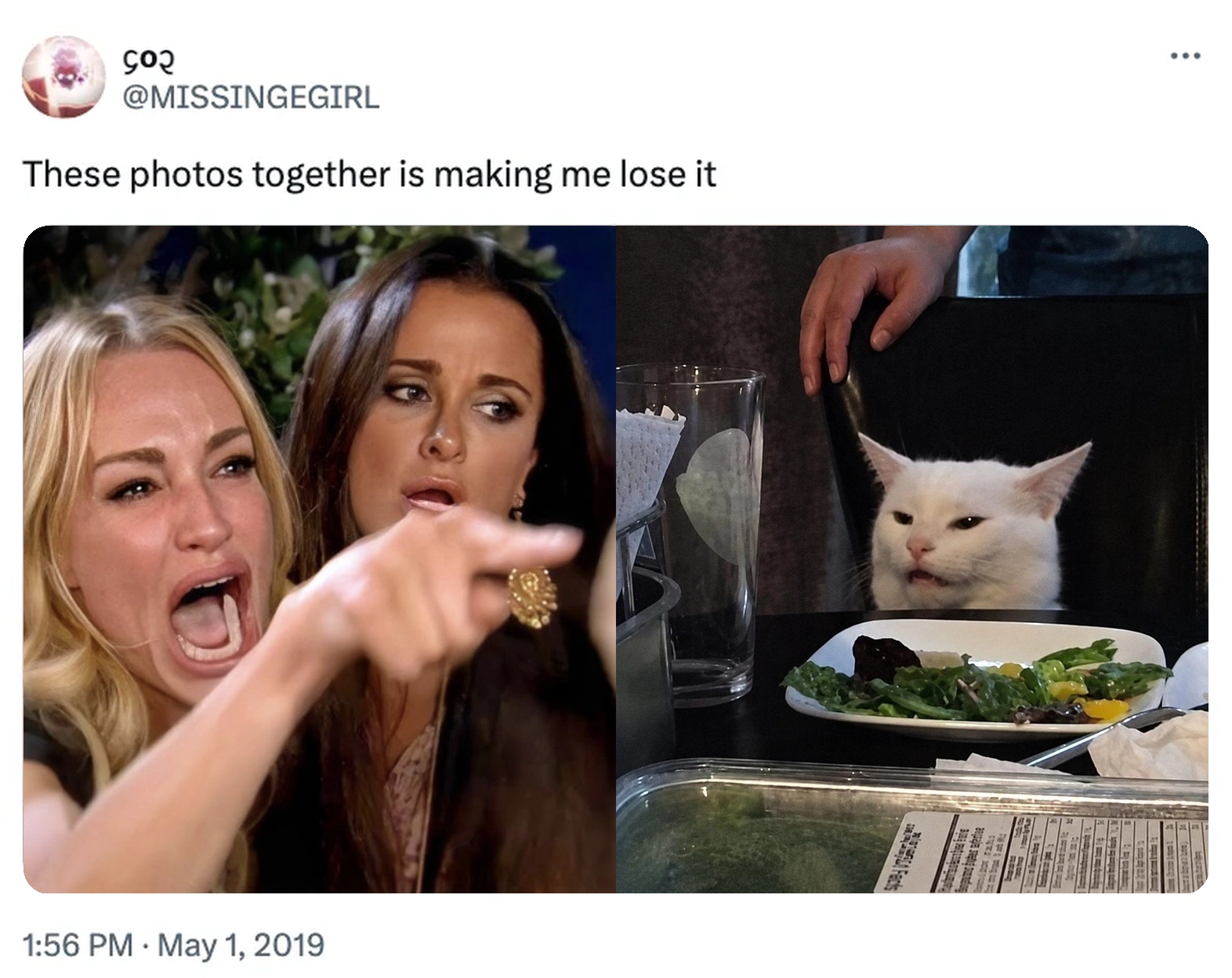 Original May 2019 tweet combining the Woman Yelling and Smudge photos