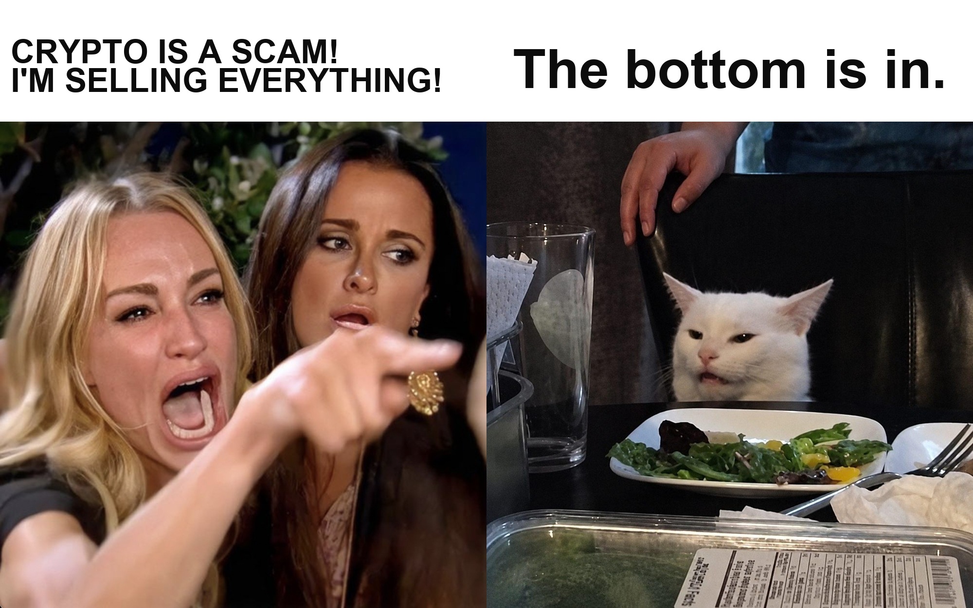 High-resolution Woman Yelling at Cat crypto bottom meme